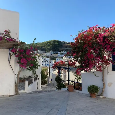 Villa Luxury Naxos Superior Triple 150m From Agios Georgios *