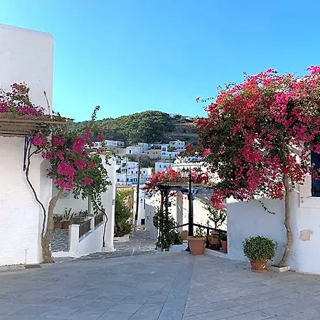 Vila Luxury Naxos Superior Triple 150m From Agios Georgios